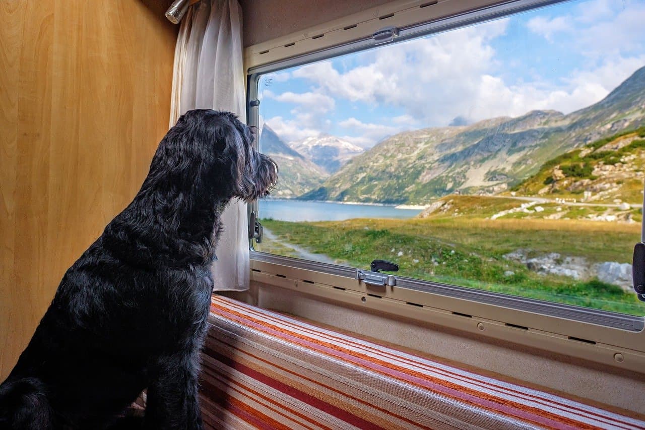 Camping & Caravan Travel Statistics October 2026: UK Trips, Spending & Trends