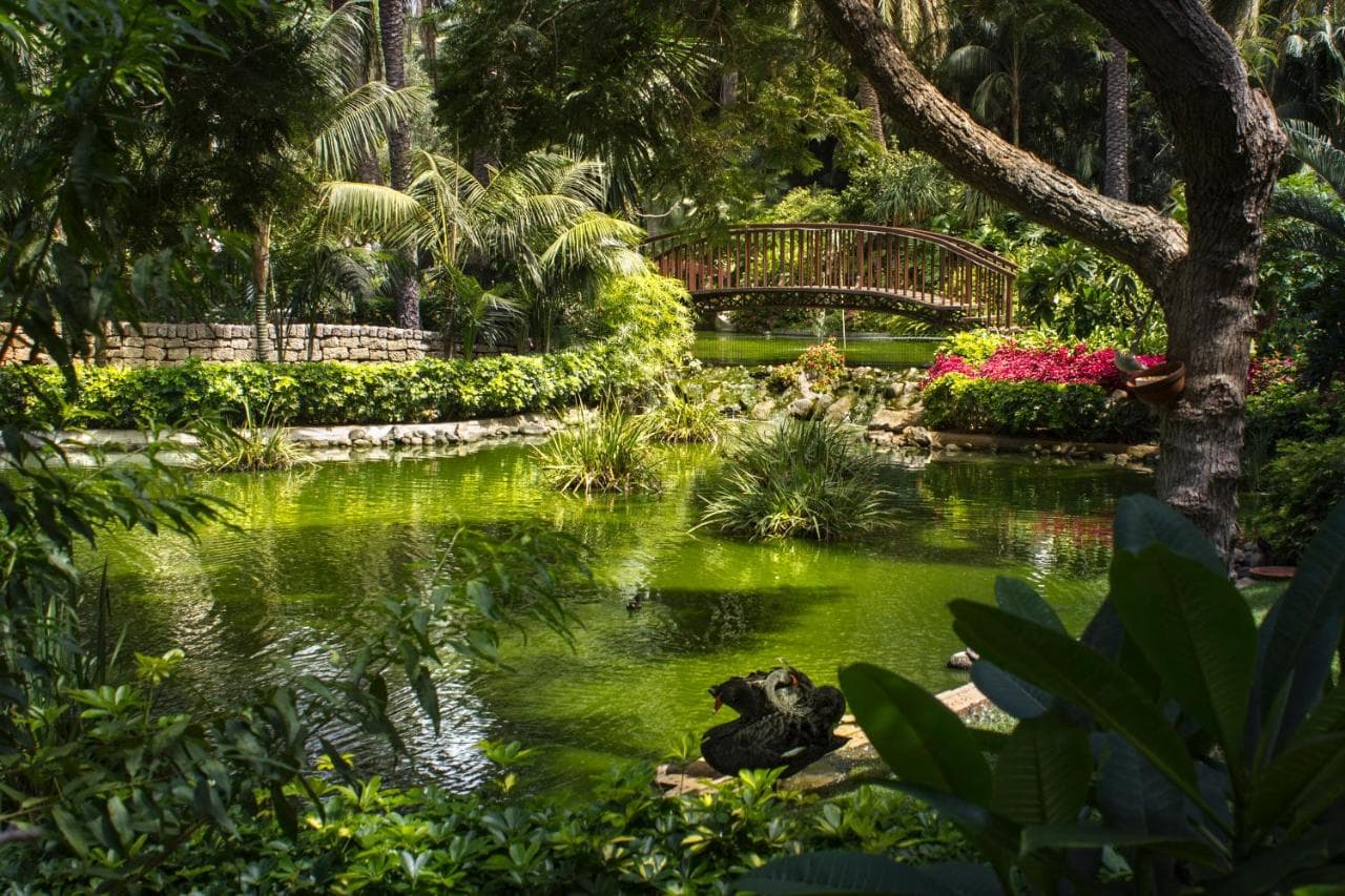Hotel Botanico y Oriental Spa Garden – billede 3