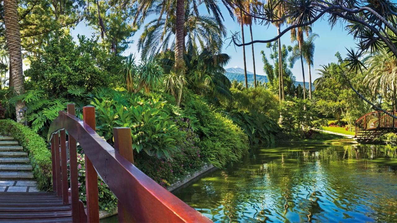 Hotel Botanico y Oriental Spa Garden – billede 2