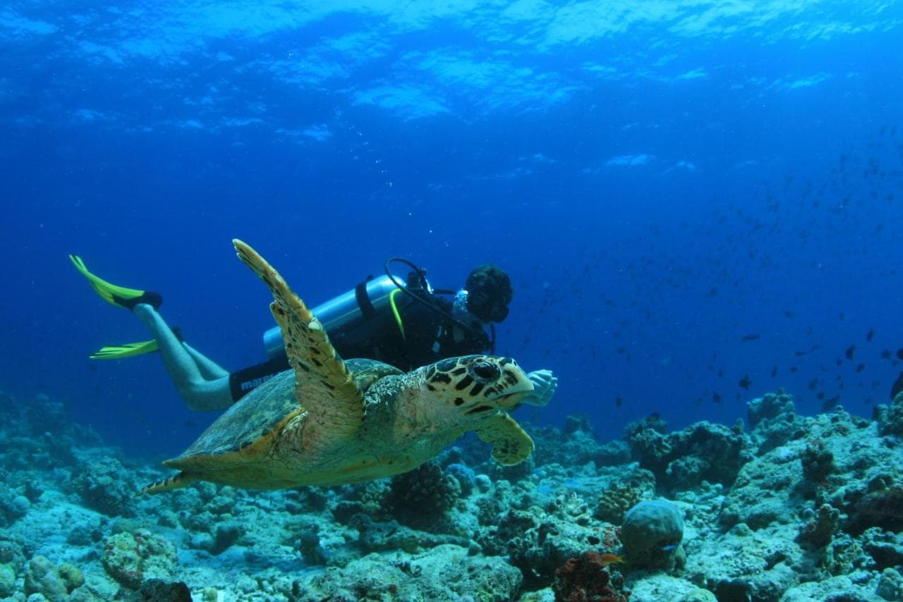 Amilla Maldives – billede 4