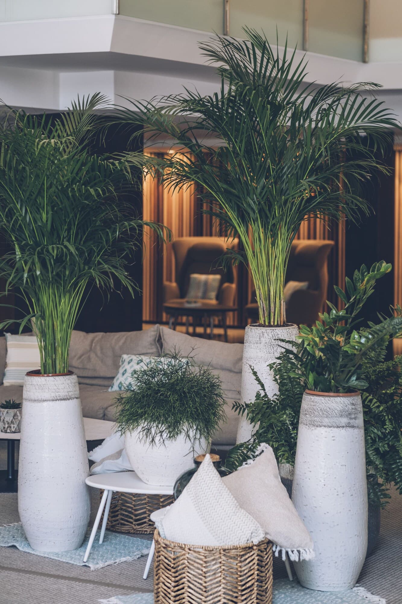 Iberostar Playa de Muro Village – bilde 6