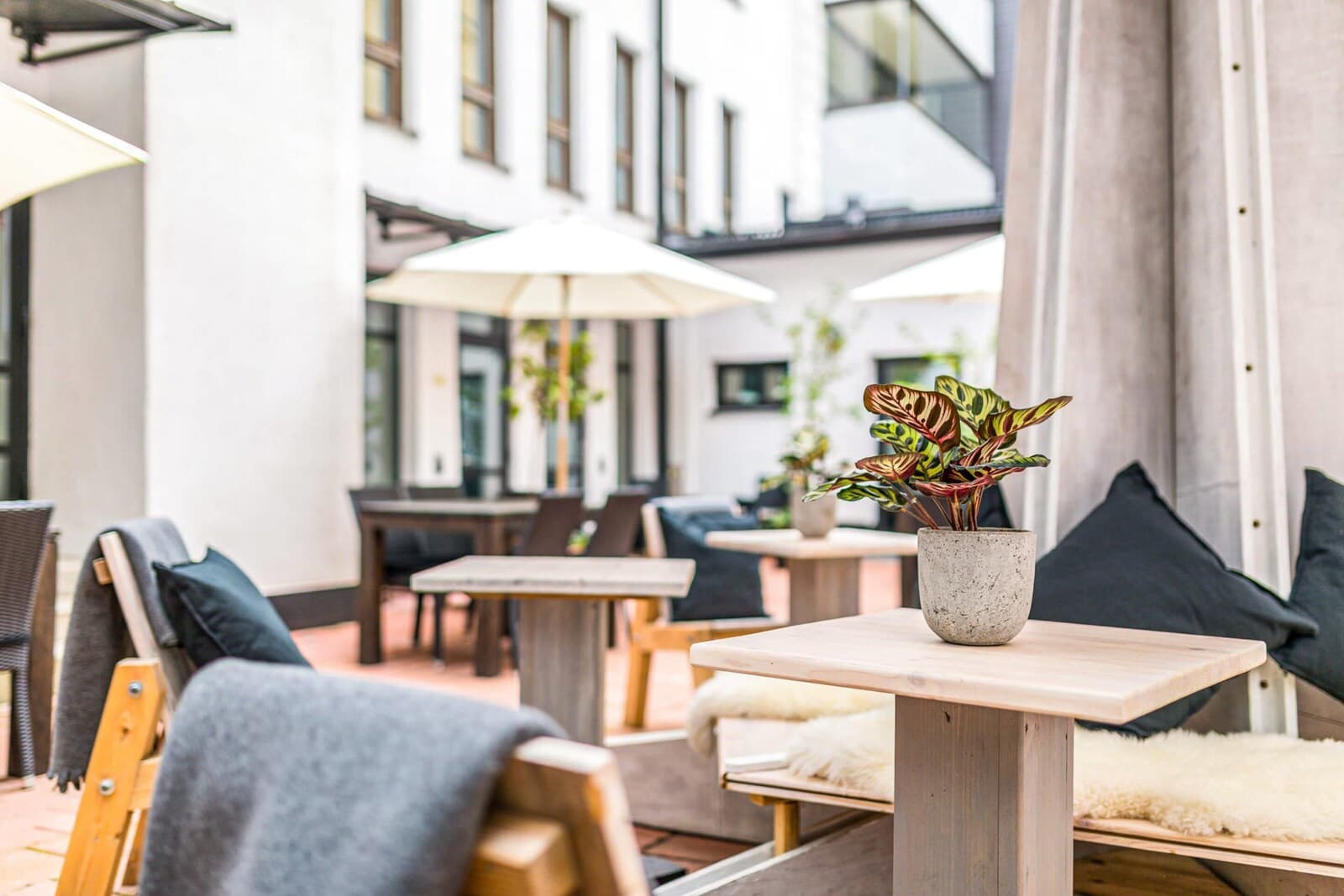 Hotel Fabian – billede 6