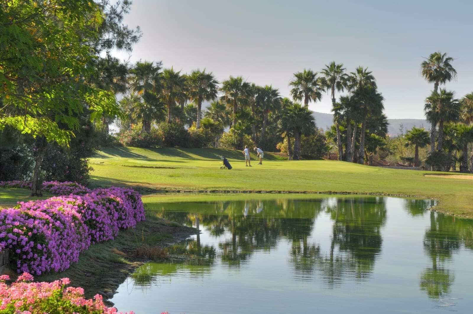 1881 Tenerife Madrigueras Golf Hotel – hovedbillede