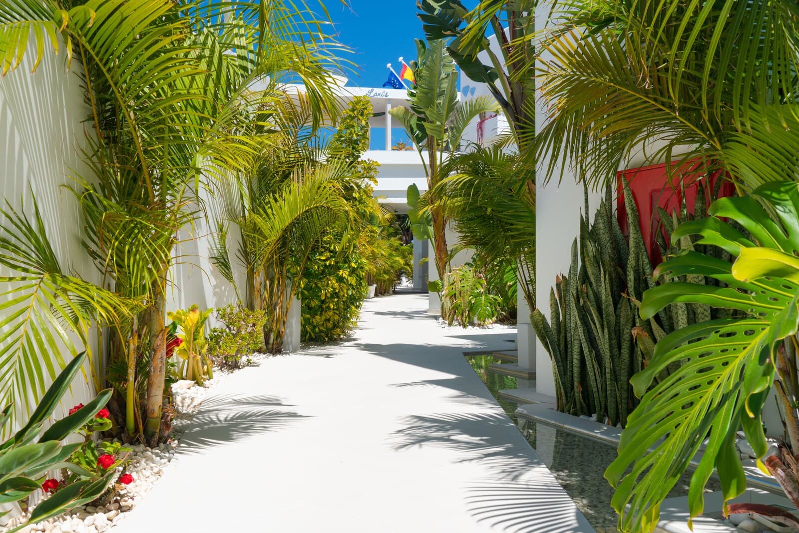 Lani's Suites de Luxe – billede 4
