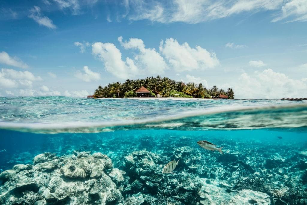 ROBINSON MALDIVES - Adults only